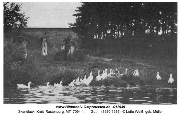 Skandlack, Gut