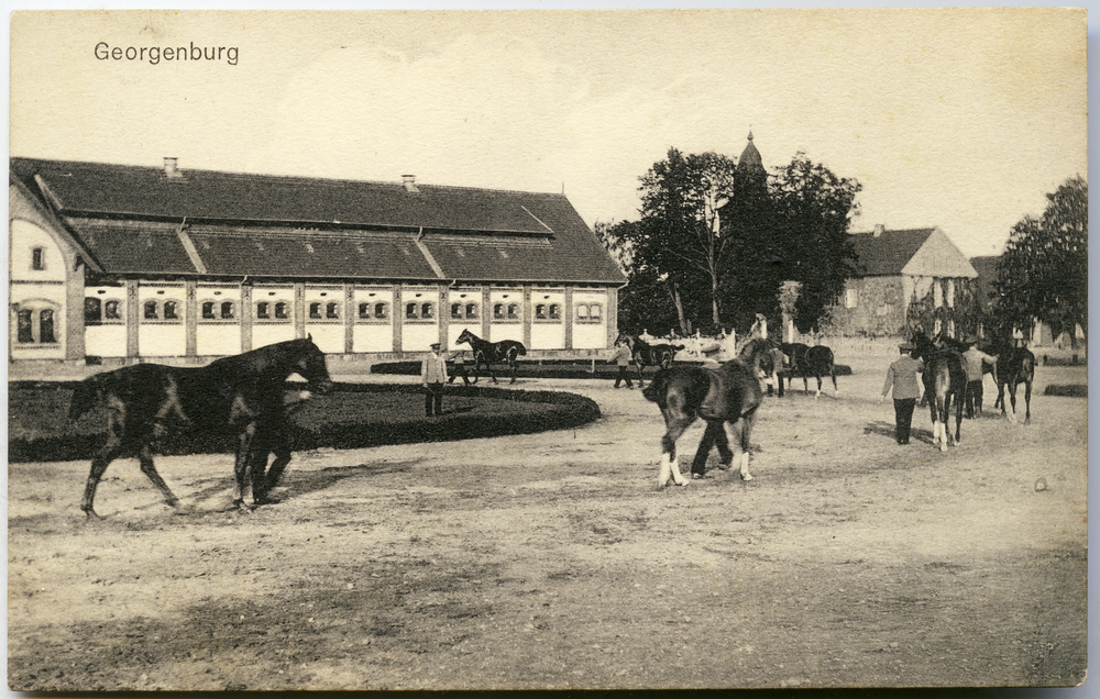 Georgenburg, Gestüt, Präsentation der Pferde im Schritt