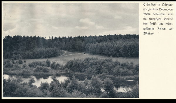 Groß Erlenfließ, Landschaft am Fluss mit bewaldeten Höhen