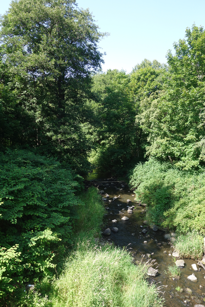 Zinten (Корнево), Zufluss zum Mühlenteich