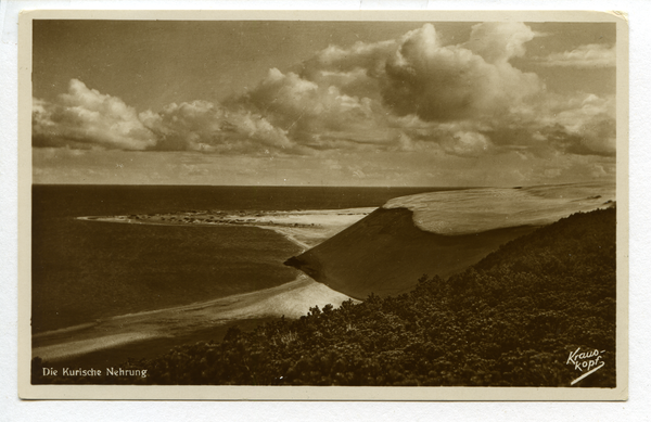 Kurische Nehrung, Blick über Nehrungswald und Düne auf das Haff