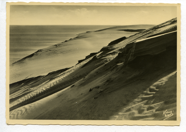 Kurische Nehrung, Blick auf hohe Dünen