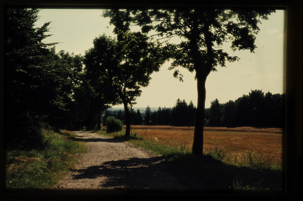 Kernsdorfer Höhe, Landschaft