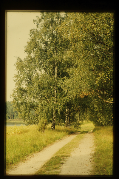 Januschau (Januszewo), Landschaft bei Januschau