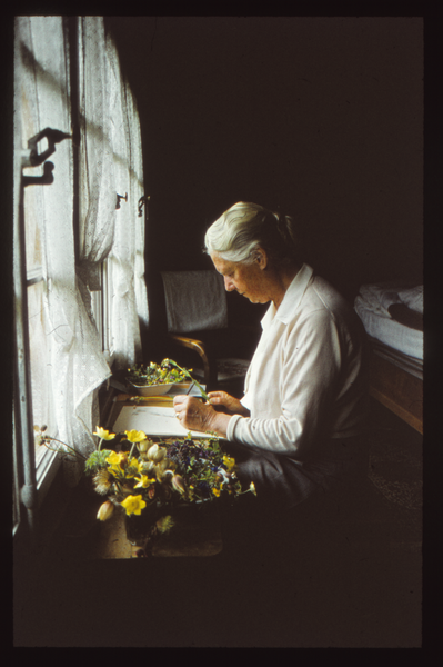 Schneverdingen (Niedersachsen), Edith von Sanden