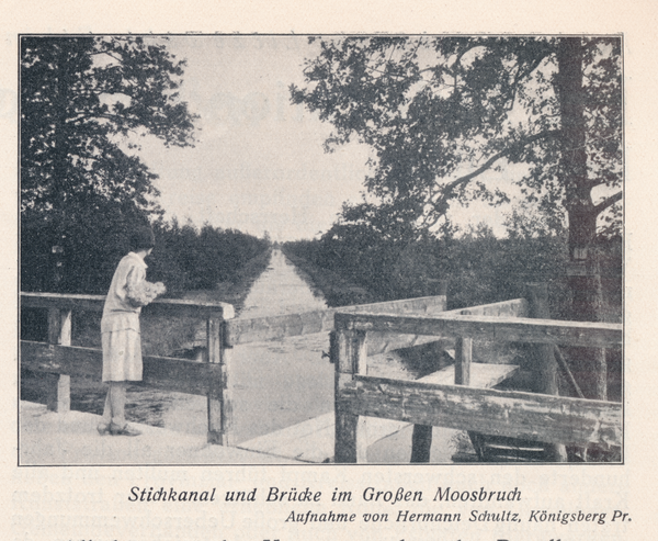 Großes Moosbruch, Stichkanal und Brücke