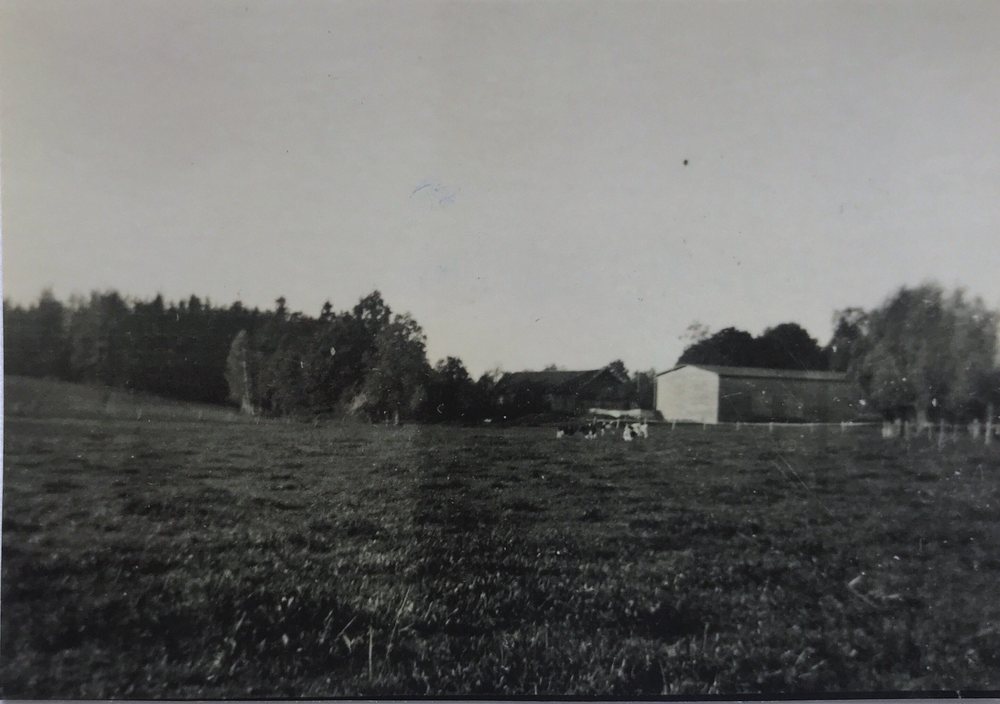 Gudellen Kr. Ebenrode, Hof August Warnat