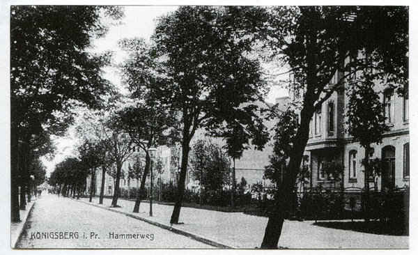 Königsberg (Pr.), Hammerweg