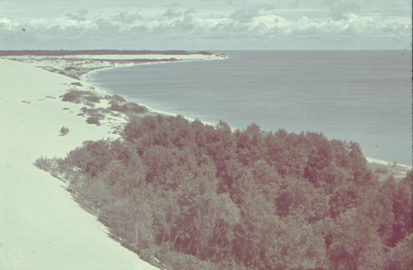 Kurische Nehrung, Die Düne bedroht den Wald (zwischen Nidden und Preil?)