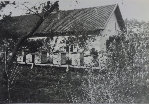 Gudellen Kr. Ebenrode, Hof August Warnat, Bienenkästen