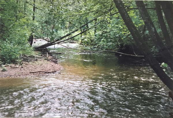 Preußenwall Kr. Ebenrode, Die Pissa an der Stelle wo der Ort lag