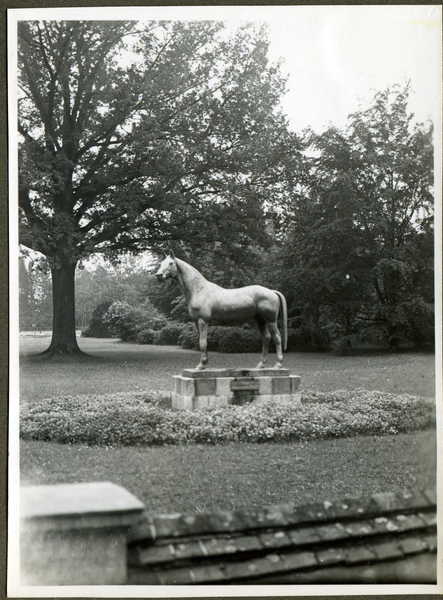 Groß Trakehnen, Denkmal des Beschälers "Tempelhüter"