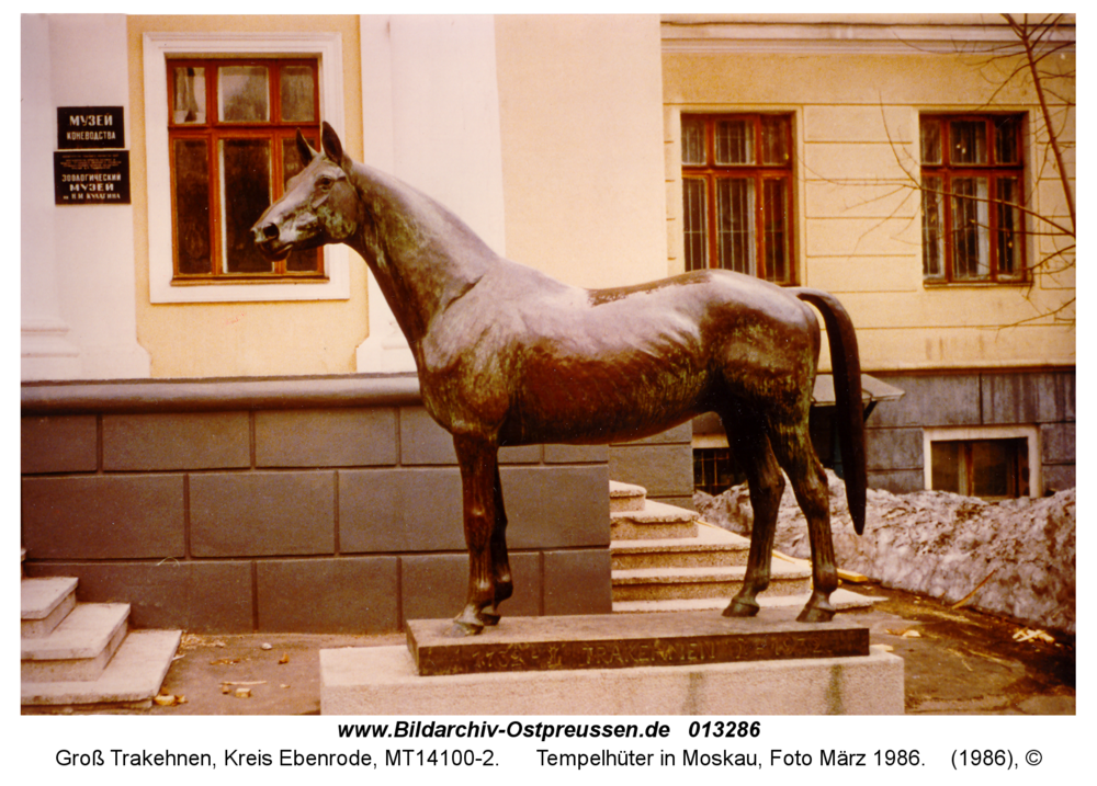 Groß Trakehnen, Tempelhüter in Moskau, Foto März 1986