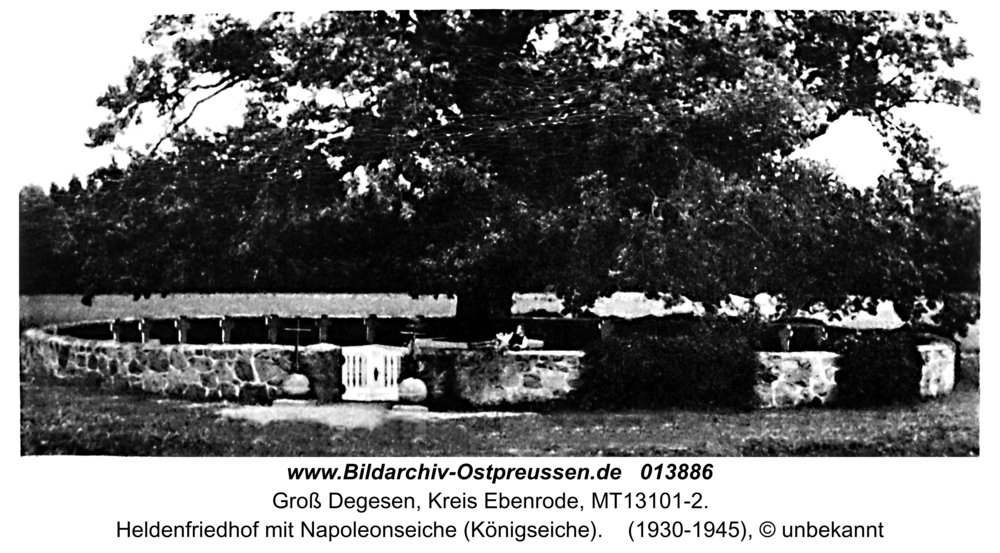 Groß Degesen, Heldenfriedhof mit Napoleonseiche (Königseiche)