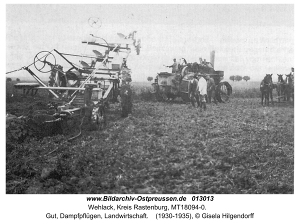 Wehlack, Gut, Dampfpflügen, Landwirtschaft