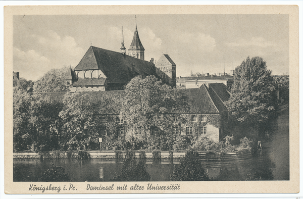 Königsberg, Dominsel mit alter Universität