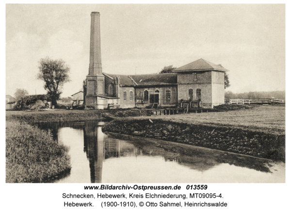 Schnecken, Hebewerk