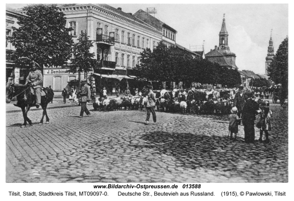 Tilsit, Deutsche Str., Beutevieh aus Russland