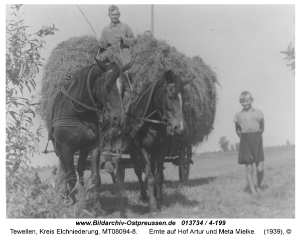 Tewellen, Ernte auf Hof Artur und Meta Mielke