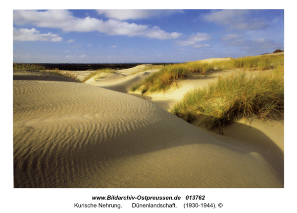 Kurische Nehrung, Dünenlandschaft