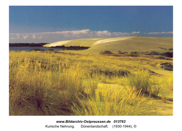 Kurische Nehrung, Dünenlandschaft