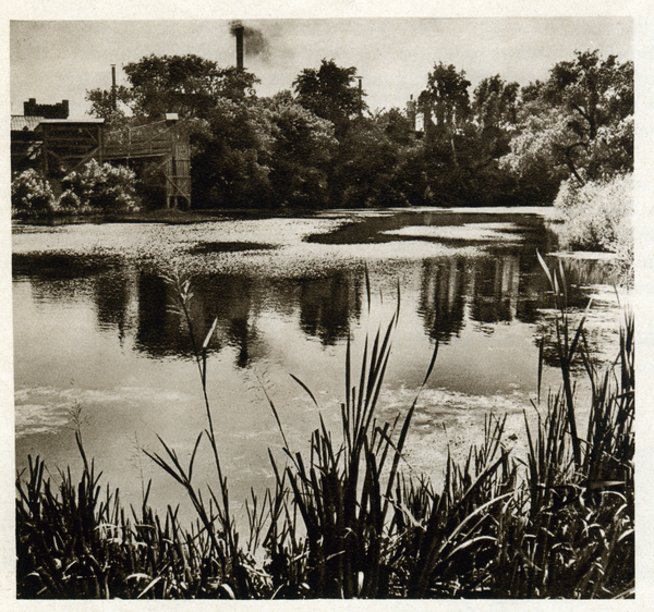 Königsberg (Pr.), Ponarth, Brauerei, Einer der für die Eisgewinnung angelegten Teiche