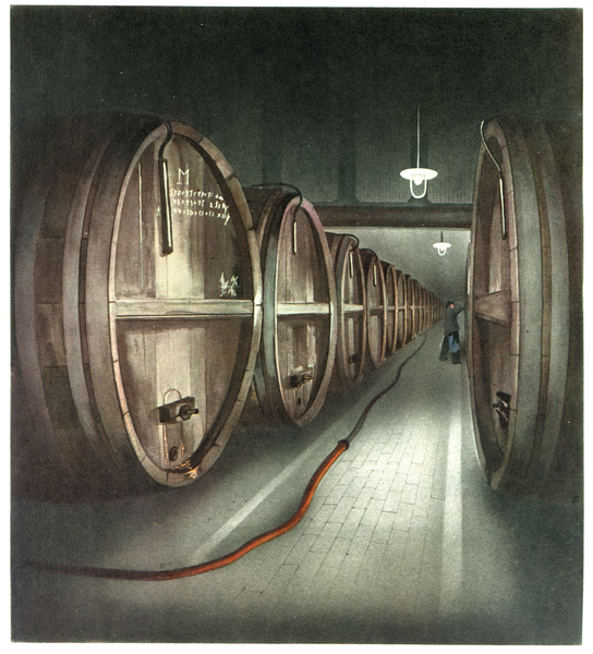 Königsberg, Brauerei Ponarth, Im Keller lagert das Bier in großen Eichenfässern