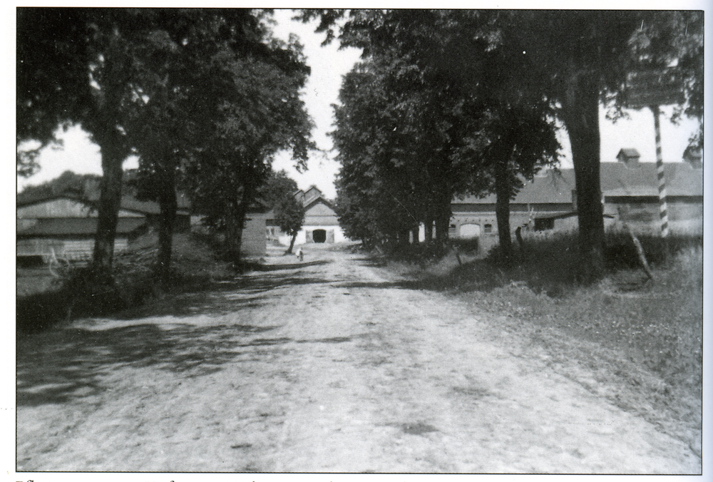 Louisenwerth, Pflasterweg von Heiligenstein her kommend zum Hof