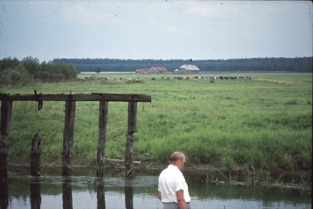 Freudenthal Kr. Rosenberg (Franciszkowo), Drewenz mit Resten der Brücke Mudra, Hintergrund Vorwerk Dunkelwalde