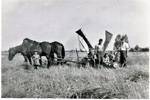 Lauken Kr. Ebenrode, Bauernhof Otto Theophil, bei der Feldarbeit