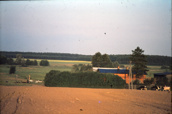 Freudenthal Kr. Rosenberg (Franciszkowo), Hof Oskar und Auguste Timmreck