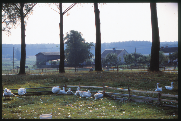 Klein Radem (Radomek), Dorf bei Deutsch-Eylau