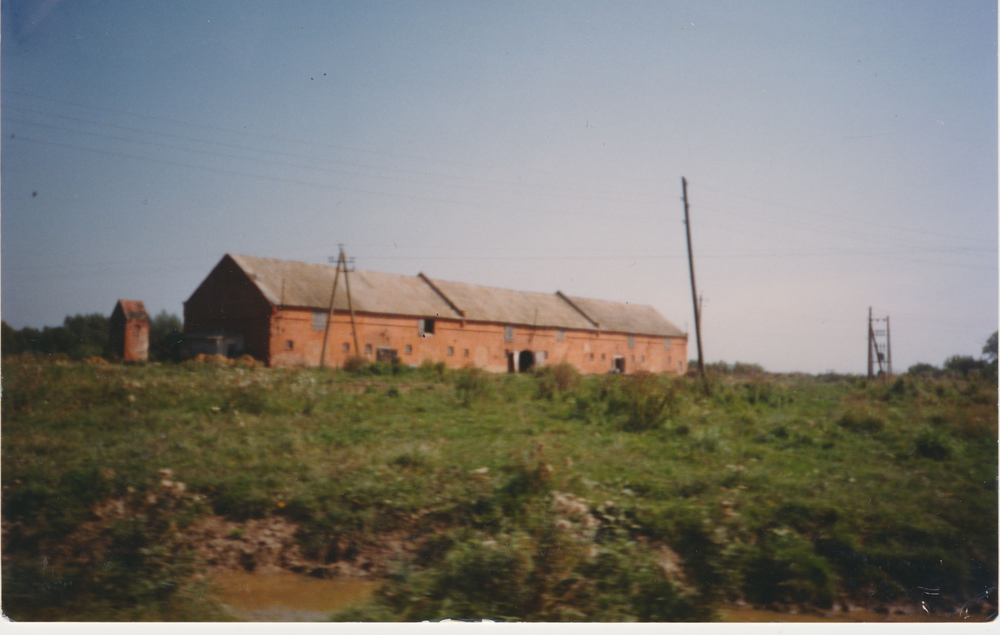 Altpreußenfelde (Калиново), Stall des ehemaligen Vorwerkes des Hauptgestütes Trakehnen