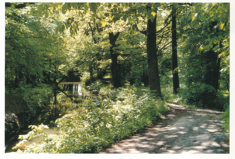 Königsberg (Pr.) (Калининград), Blick in die Fürstenschlucht bis zum Landraben