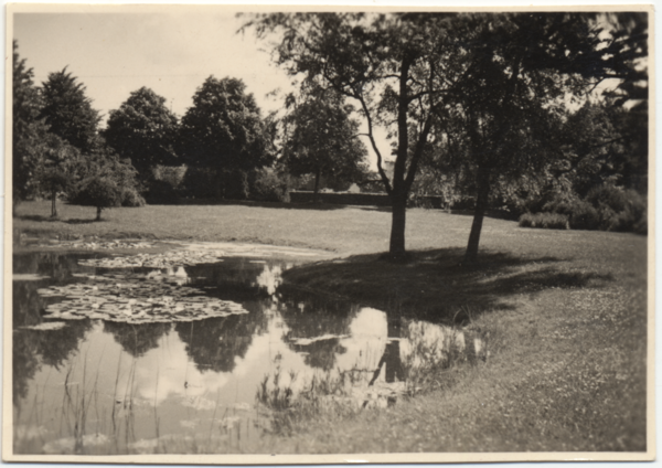 Labiau, Hindenburg-Sportpark mit Teich