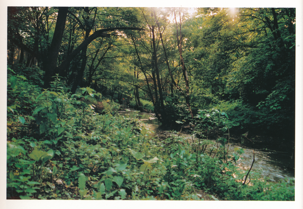 Königsberg (Pr.) (Калининград), Tiergarten, Hufenfreigraben