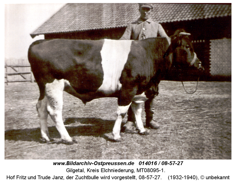 Gilgetal 27, Hof Fritz und Trude Janz, der Zuchtbulle wird vorgestellt, 08-57-27