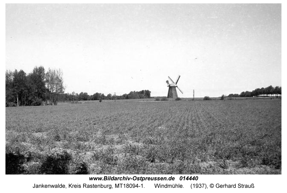 Jankenwalde, Windmühle