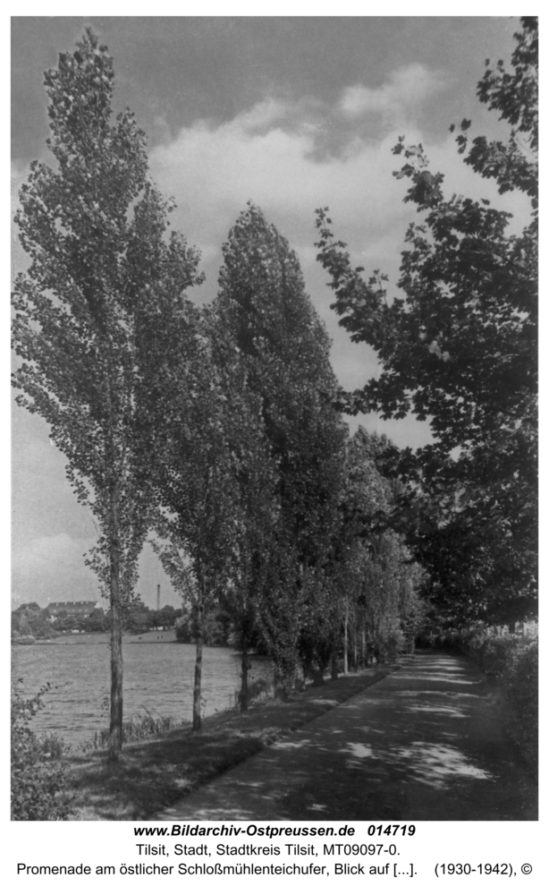 Tilsit, Promenade am östlicher Schloßmühlenteichufer, Blick auf die Dammstr.