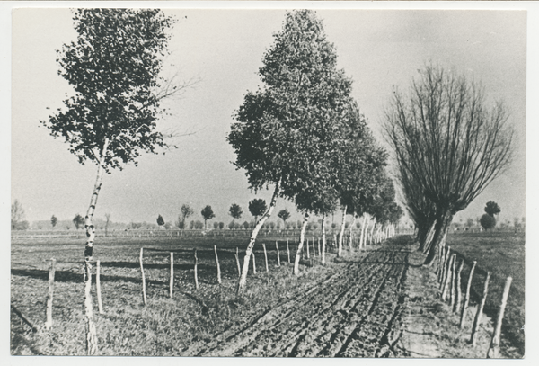 Gilgetal, Hof Sangel, Ausfahrt von Hof Sangel