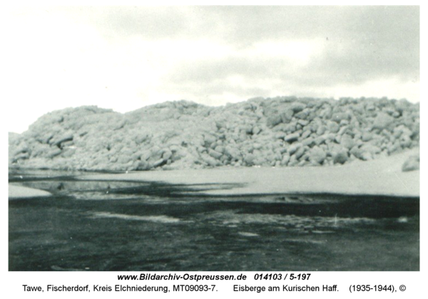 Tawe, Eisberge am Kurischen Haff