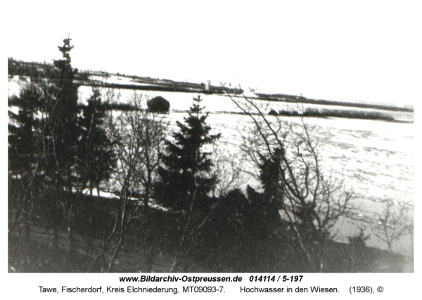 Tawe, Hochwasser in den Wiesen