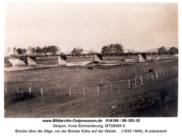 Sköpen 08-185-18, Brücke über die Gilge, vor der Brücke Kühe auf der Weide