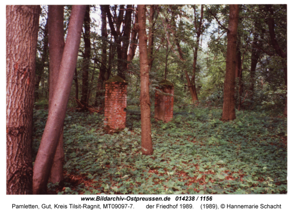 Pamletten-Gut, der Friedhof 1989