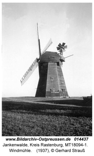 Jankenwalde, Windmühle