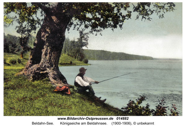 Masuren, Königseiche am Beldahnsee