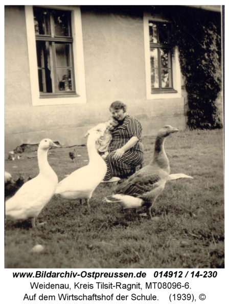 Weidenau, Auf dem Wirtschaftshof der Schule