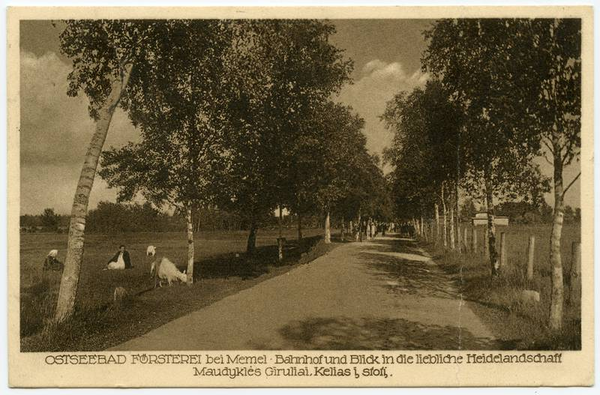 Seebad-Försterei, Bahnhof und Heidelandschaft