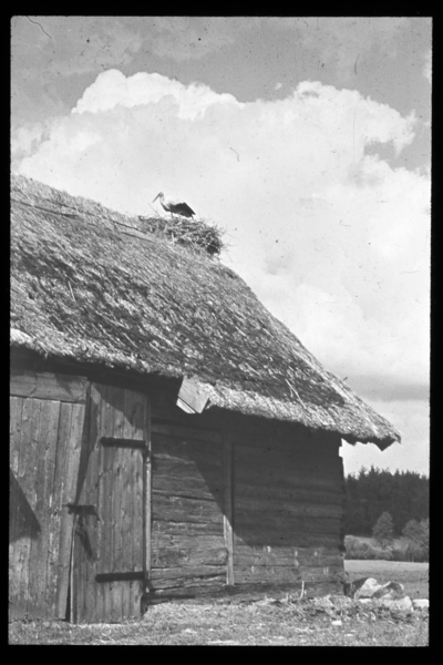 Ostpreußen, Hölzernes Wirtschaftsgebäude (Scheune) mit Storchennest, wo?