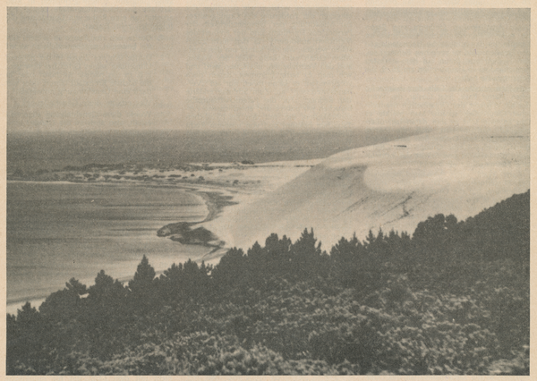 Nidden, Wanderdünen